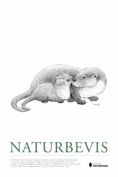 NATURBEVISER - Image 174